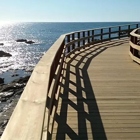 Casa Calma - Malaga *